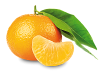 Мономасло мандарина