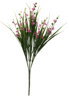 Эфирное масло пальмарозы