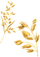 Экстракт овса